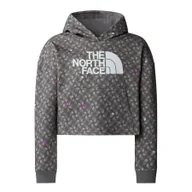Odzież sportowa dziecięca - The North Face Bluza Drew Peak Light Nf0A8872Vij - miniaturka - grafika 1