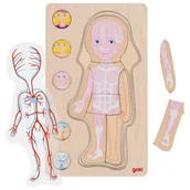 Zabawki sensoryczne - Układanka anatomia ciała dziewczynka Goki - miniaturka - grafika 1