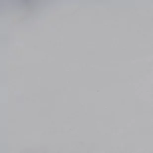 Framar - Folia Fryzjerska Star Struck Silver Smooth Roll 100m - Pozostałe akcesoria fryzjerskie - miniaturka - grafika 3