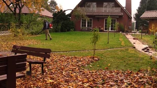 HECHT 952 ODKURZACZ SPALINOWY OGRODOWY DMUCHAWA PLECAKOWA DO LIŚCI - OFICJALNY DYSTRYBUTOR - AUTORYZOWANY DEALER HECHT - Dmuchawy i odkurzacze do liści - miniaturka - grafika 4