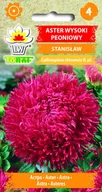Nasiona i cebule - Aster wysoki peoniowy czerwony Stanisław nasiona 1g Toraf - miniaturka - grafika 1