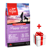 Sucha karma dla psów - ORIJEN Dog Puppy Large 11,4kg + niespodzianka dla psa GRATIS! - miniaturka - grafika 1