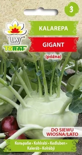Toraf Kalarepa Gigant nasiona warzyw 2g 00119 - Nasiona i cebule - miniaturka - grafika 1