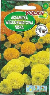 Aksamitka wielkokwiatowa niska mieszana 0.5 g POLAN - Nasiona i cebule - miniaturka - grafika 1
