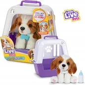 Zabawki interaktywne dla dzieci - PIESEK Szczeniak Z Transporterem Little Live Pets Zabawka Interaktywna - miniaturka - grafika 1