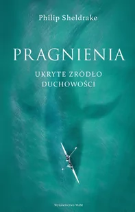 Pragnienia. Ukryte źródło duchowości - E-booki - religia - miniaturka - grafika 1