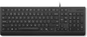 Klawiatury - Lenovo Keyboard Essential Keyboard Wired Litewski Black 4Y41R64676 - miniaturka - grafika 1