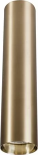 Nowodvorski Plafon LAMPA sufitowa EYE M 8912 minimalistyczna OPRAWA tuba metalowy downlight mosiądz 8912 - Lampy sufitowe - miniaturka - grafika 1