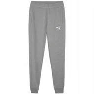 Dresy męskie - Spodnie męskie Puma Team Goal Casuals szare 658598 33 L - miniaturka - grafika 1