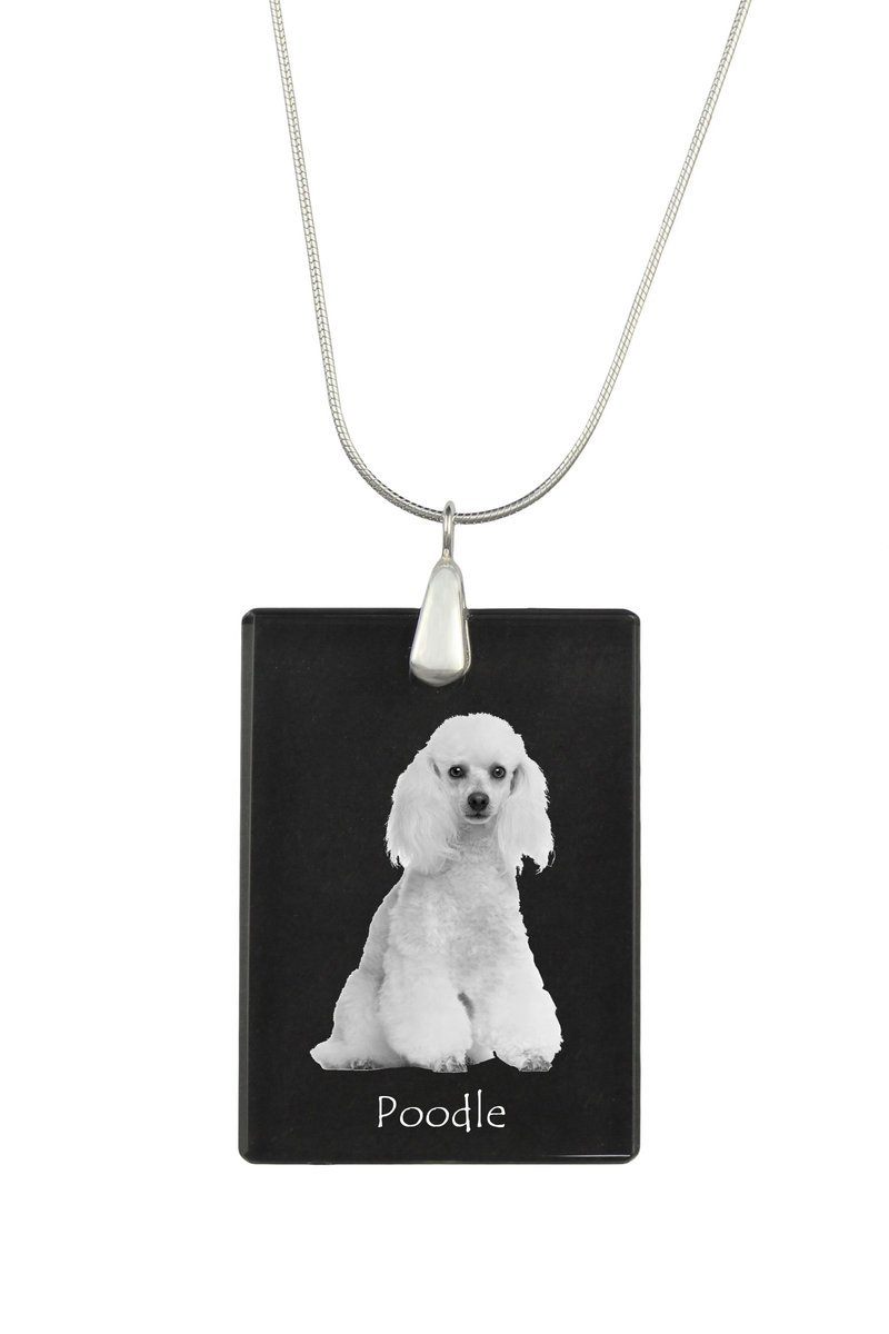 Pudel - kryształowa zawieszka z psem, srebrny naszyjnik ze zdjęciem, personalizowany wisiorek marki Art-Dog