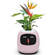 Donice - Doniczka inteligentna PLANTSIO IVY Wi-fi Różowy - miniaturka - grafika 1