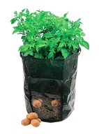 Pozostałe narzędzia ogrodowe - AG691 Torba do sadzenia 330x470mm donica - miniaturka - grafika 1