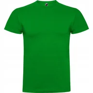 Koszulki męskie - T-shirt Męski Bawełniany Koszulka męska ROLY Braco CA6550 GRASS GREEN L - miniaturka - grafika 1