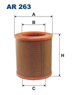 Filtry powietrza - Filtron AR 263 FILTR POWIETRZA - miniaturka - grafika 1