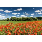 Kalendarze - Michalczyk i Prokop Spółka z o.o. Kalendarz trójdzielny Mipro T-105T-01 315x855mm T-105T-01 - miniaturka - grafika 1