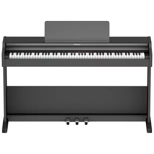 Roland RP-107 BK pianino cyfrowe - Instrumenty klawiszowe - miniaturka - grafika 1
