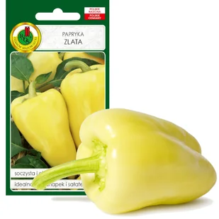 PAPRYKA ZLATA ŻÓŁTA WCZESNA NASIONA BEZ GMO 0,5g/PAPRYKA ŻÓŁTA ZLATA WCZESNA PLENNA SOCZYSTA CHRUPIĄCA SŁODKAWA 0,5g - Nasiona i cebule - miniaturka - grafika 1