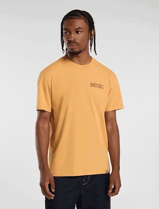 t-shirt uomo dickies companion tee - dk0a4z98k411 oak buff