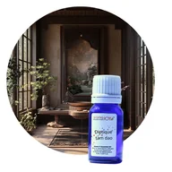 Zapachy do domu - DPTK'TAM DAO - Kompozycja Zapachowa 10 ml - miniaturka - grafika 1