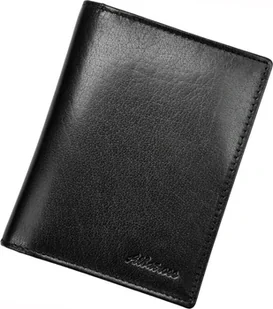 Albatros NoSize - Etui na dokumenty i karty - miniaturka - grafika 1