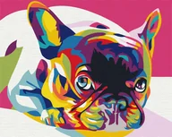 Malowanie po numerach - Malowanie po numerach 40x50 Buldog tęczowy / Twoje Hobby - miniaturka - grafika 1
