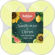 Świece - Podgrzewacz zapachowy Maxi Light Słonecznik & Cytrus 8 szt. Bolsius - miniaturka - grafika 1