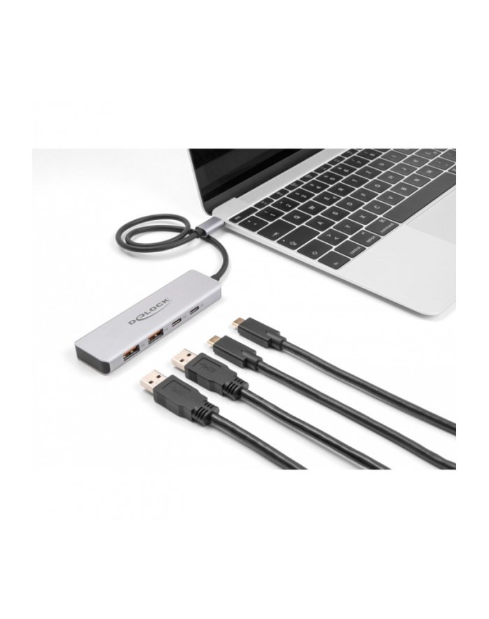 DeLOCK USB 10 Gbps USB Type-C Hub with 2 x USB Type-A and 2 x USB Type-C, USB hub grey