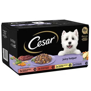 Pakiet mieszany Cesar Juicy Hotpot  - 24 x 150 g - Mokra karma dla psów - miniaturka - grafika 1