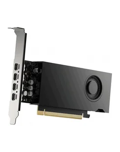 PNY Quadro RTX 2000E ADA Power Limited 16GB GDDR6 VCNRTX2000EADA-PL - Karty graficzne - miniaturka - grafika 1