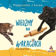Audiobooki - kryminał, sensacja, thriller - Wiedźmy na wakacjach - miniaturka - grafika 1