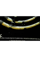 Książki o kulturze i sztuce - Fajki z kolekcji Tadeusza Wojtuszkiewicza - miniaturka - grafika 1