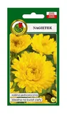 Nasiona i cebule - Nagietek żółty 3 g PNOS Ożarów - miniaturka - grafika 1