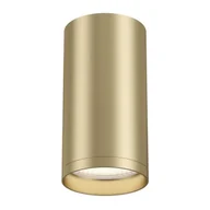 Lampy sufitowe - Maytoni Lampa Focus S Maytoni C052CL-01MG - miniaturka - grafika 1