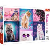 Puzzle - Trefl Puzzle 1000 Neon Color Line - Super cats - miniaturka - grafika 1