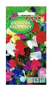 Nasiona i cebule - Groszek pachnący zestaw kolorów 3 g POLAN - miniaturka - grafika 1
