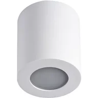 Lampy sufitowe - Kanlux Sani 29241 reflektor 1x10W PAR16 biały - miniaturka - grafika 1