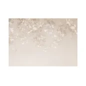 Tapety - Mural Beige 400 x 280 cm delikatna struktura - miniaturka - grafika 1