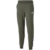 Spodnie damskie - Spodnie damskie Puma power Pants FL cl Grape Lea - miniaturka - grafika 1