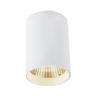 OxyLED Lampa sufitowa DW14 ENNA 15W 3000K biała 109247 109247 - Lampy sufitowe - miniaturka - grafika 1