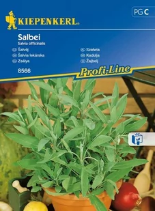 Kiepenkerl Szałwia Salvia officinalis 102377 - Nasiona i cebule - miniaturka - grafika 1