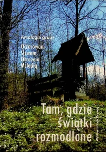 Tam gdzie świątki rozmodlone - Religia i religioznawstwo - miniaturka - grafika 1