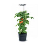 Donice - Prosperplast Doniczka do pomidorów Tomato Grower IPOM400 CEN-72583 - miniaturka - grafika 1