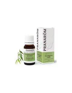 Olejek eteryczny eukaliptusowy Eukaliptus australijski  10ml PRANARÔM - Aromaterapia - miniaturka - grafika 1