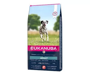 Eukanuba Adult Large Salmon&Barley 2,5 kg - Sucha karma dla psów - miniaturka - grafika 1