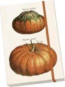 Notesy i bloczki - Notatnik ozdobny A5 STNOTE 143 Dynie - miniaturka - grafika 1