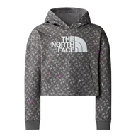Odzież sportowa dziecięca - The North Face Bluza Drew Peak Light Nf0A8872Vij - miniaturka - grafika 1