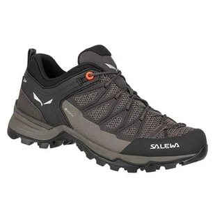 Buty trekkingowe damskie Salewa Mtn Trainer Lite Gtx - Buty trekkingowe damskie - miniaturka - grafika 1