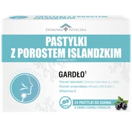 Przeziębienie i grypa - Pastylki z Porostem Islandzkim, smak czarnej porzeczki, 24 pastylek do ssania - miniaturka - grafika 1