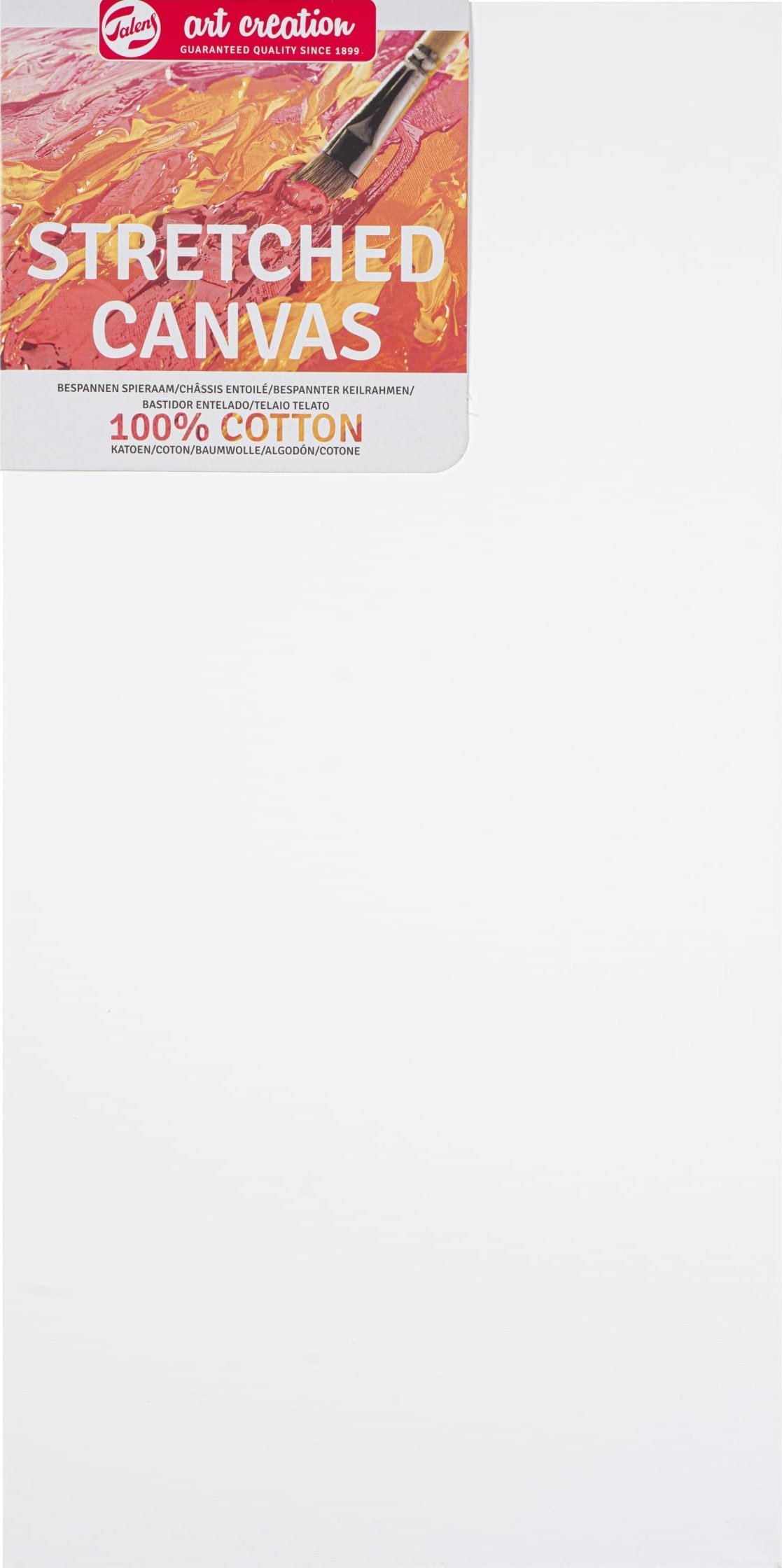 Talens Talens Art Creation Stretched Canvas Cotton 3D 30 x 60 cm