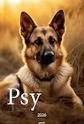 Kalendarze - Kalendarz 2026 ścienny A3 Psy - miniaturka - grafika 1